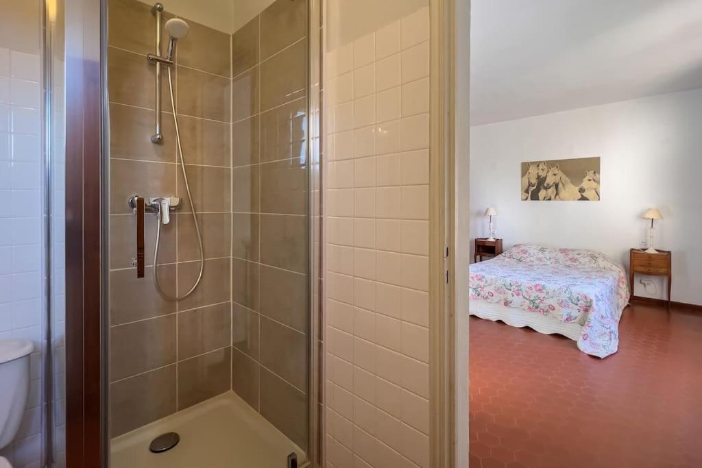 Mas De Charme En Pleine Camargue Villa Saint-Gilles  Ngoại thất bức ảnh