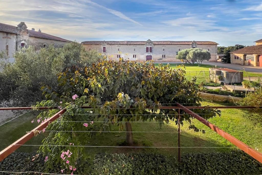 Mas De Charme En Pleine Camargue Villa Saint-Gilles  Ngoại thất bức ảnh